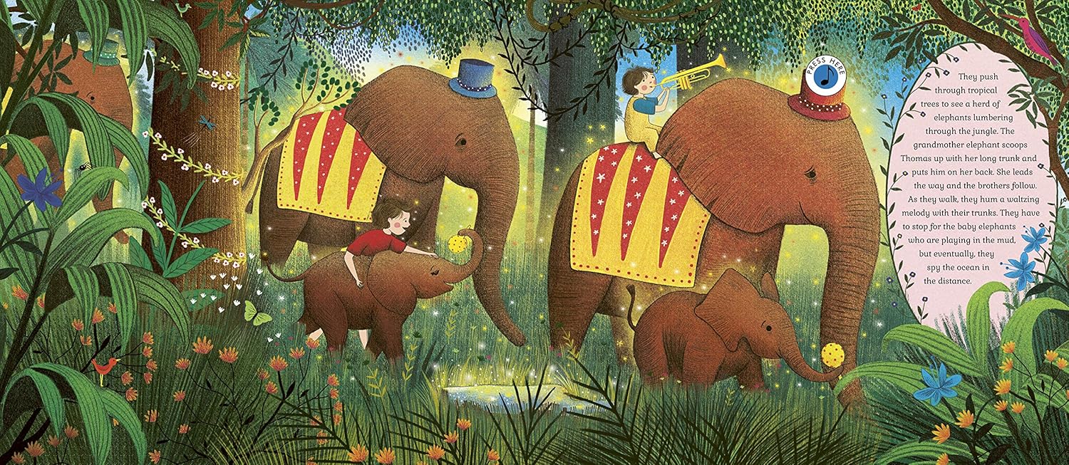 Quarto - The Story Orchestra: Carnival of the Animals, photo 3 of 4
