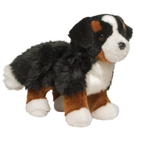 Douglas - Bowie Bernese Mountain Dog
