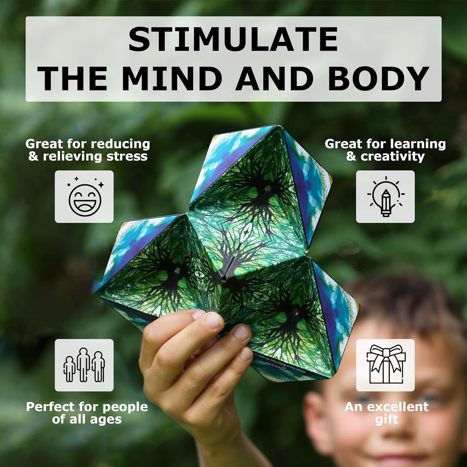 Fun In Motion Puzzle - Shashibo, photo 1 of 8