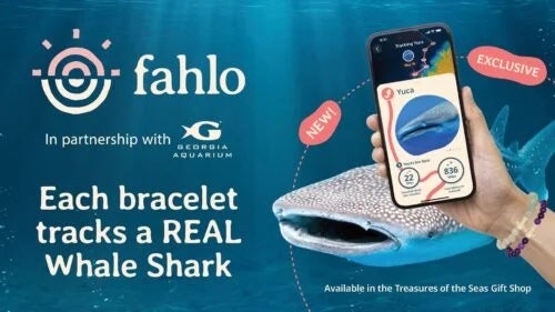 Fahlo Bracelet - Whale Shark - The Quest, photo 1 of 4