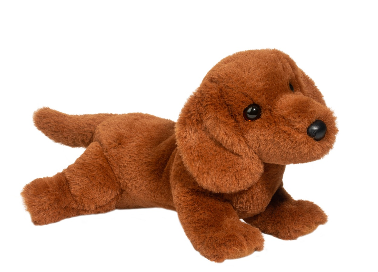 Douglas - Delanie Daschund Soft