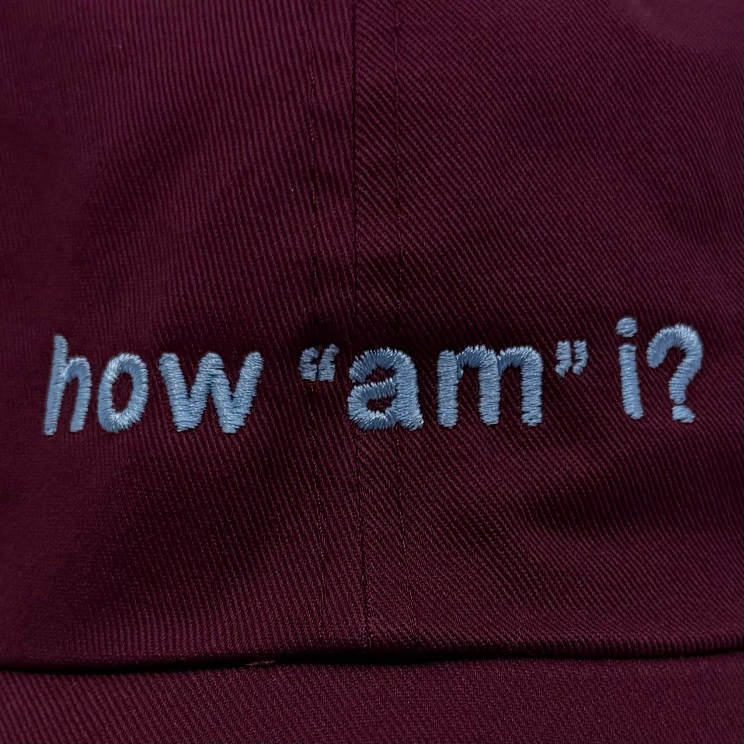 Standard Goods Hat - How Am I - Maroon, photo 3 of 4