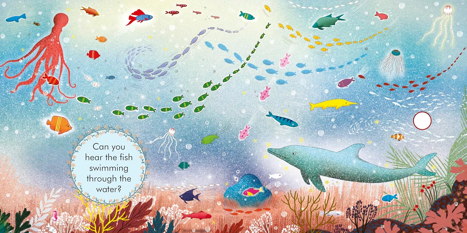 Quarto - My First Story Orchestra: Carnival of the Animals, photo 3 of 4