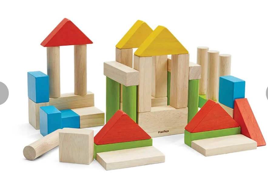 PlanToys Inc. - 40 Piece Small Unit Blocks