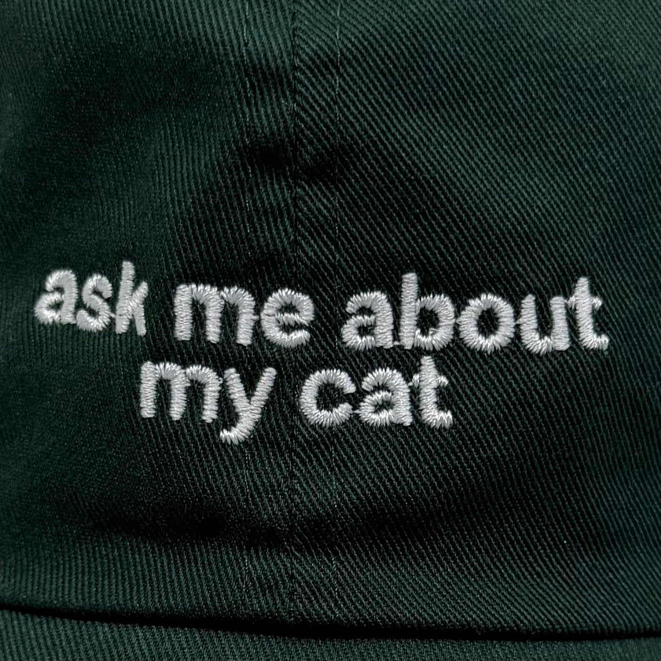 Standard Goods Hat - Ask Me About My Cat - Green, photo 3 of 4