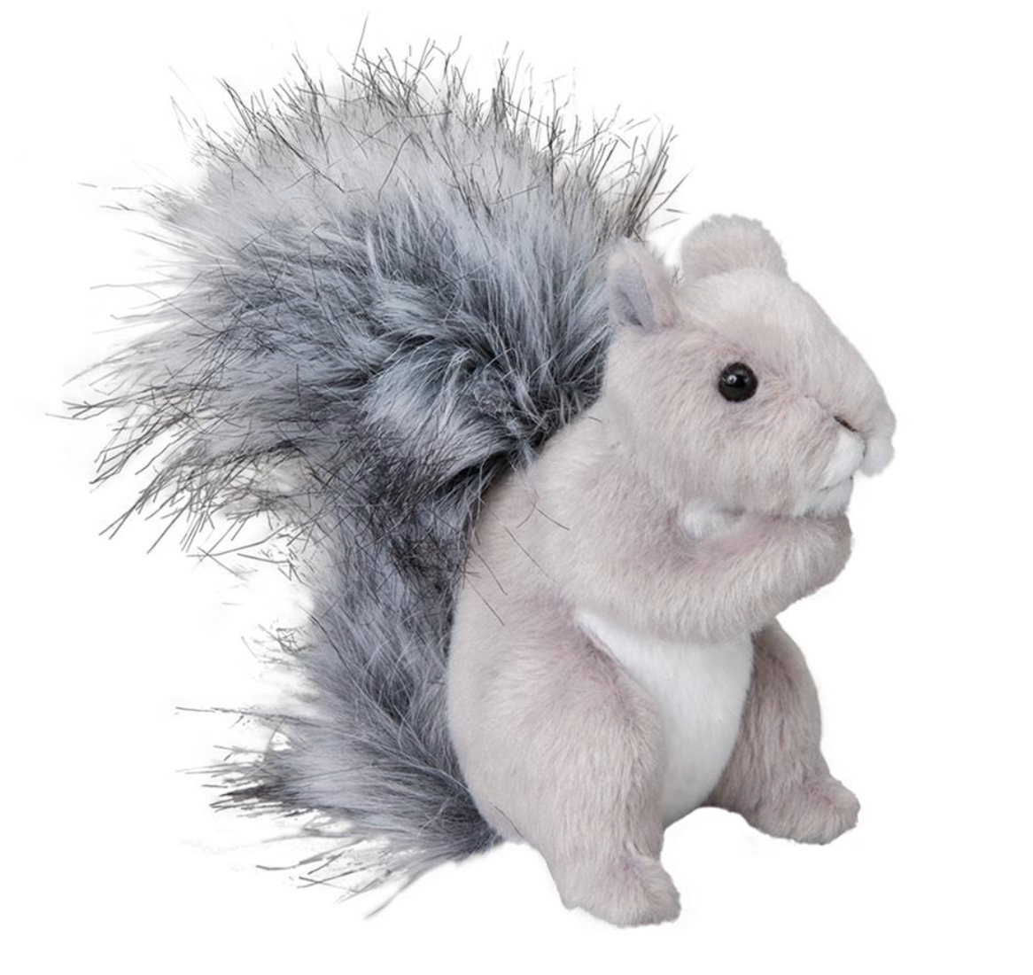 Douglas - Shasta Grey Squirrel