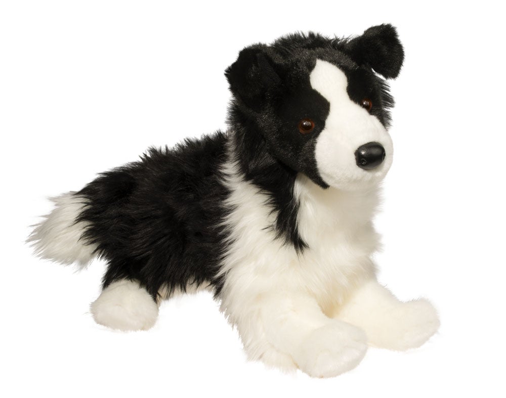 Douglas - Chase Border Collie