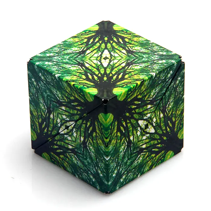 Fun In Motion Puzzle - Shashibo, photo 7 of 8