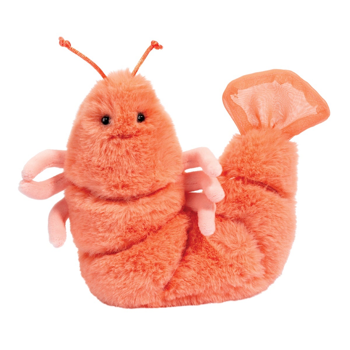 Douglas - Salty Shrimp